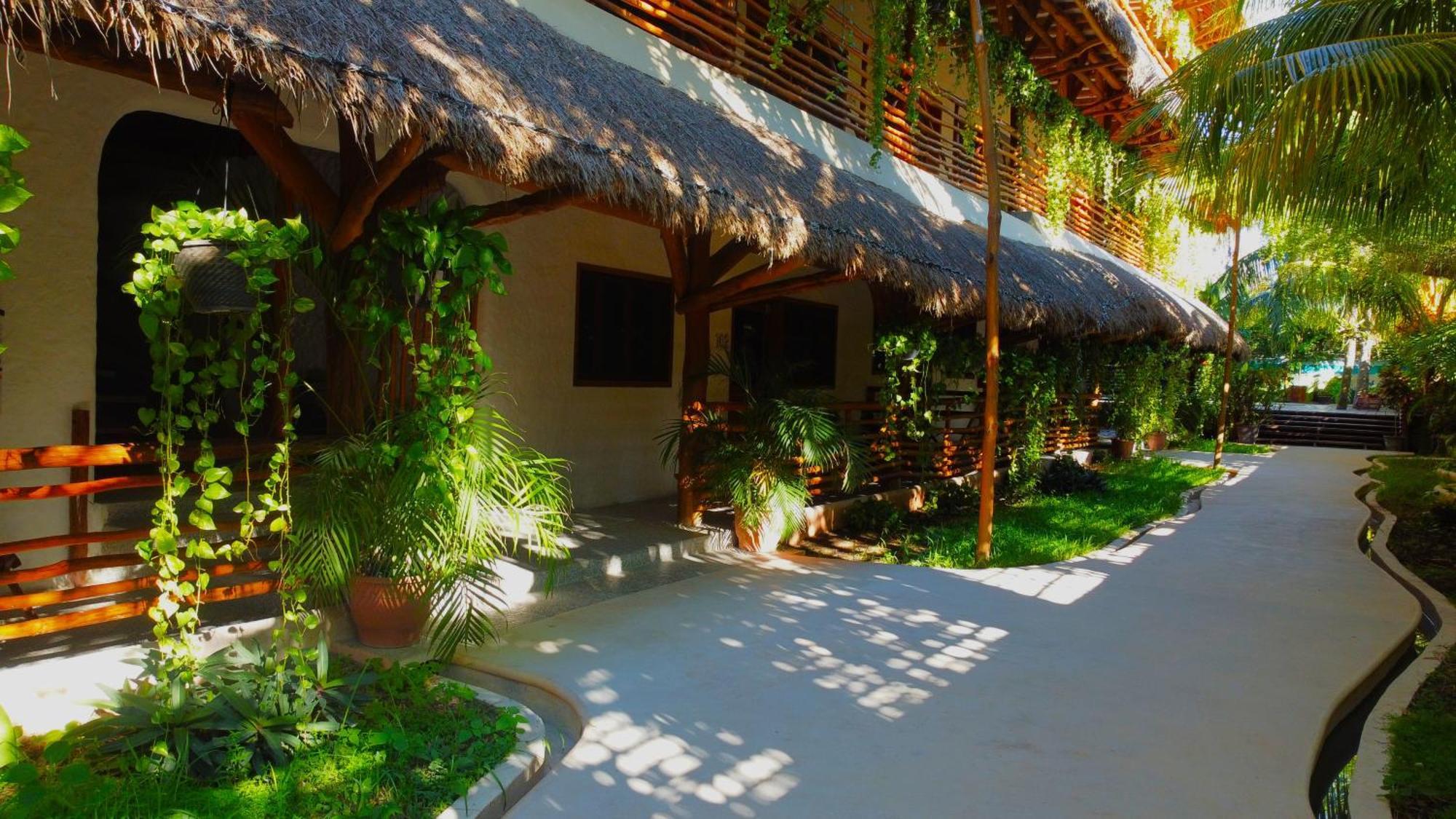 ホテル La Palma Holbox エクステリア 写真