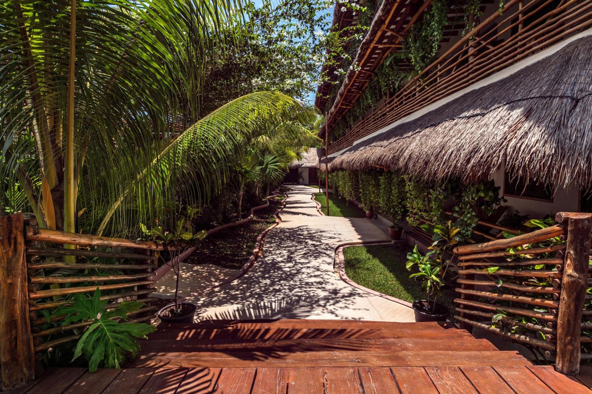 ホテル La Palma Holbox エクステリア 写真