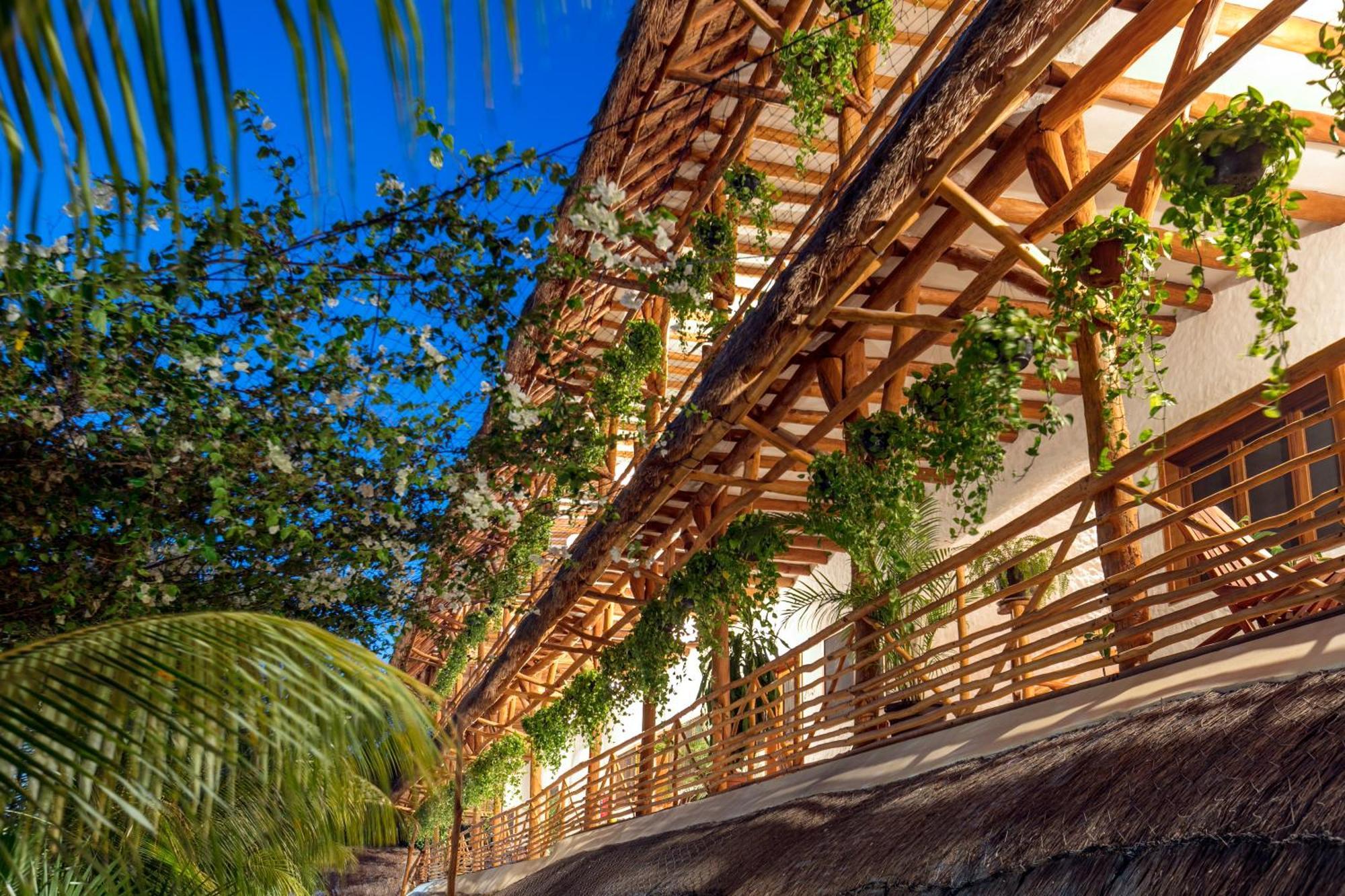 ホテル La Palma Holbox エクステリア 写真